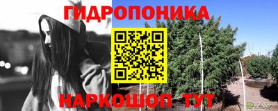 трава Новозыбков