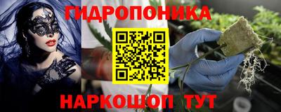 дурь Новодвинск