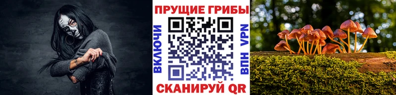 Галлюциногенные грибы Magic Shrooms  Тейково 
