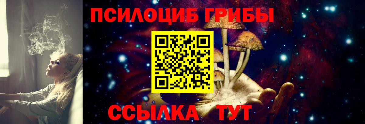 Галлюциногенные грибы MAGIC MUSHROOMS  Тейково  Псилоцибиновые грибы Psilocybe 
